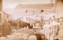 Photographies anciennes de la commune